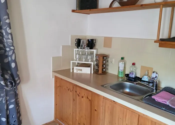 Familie Brandt 巴德伊舍